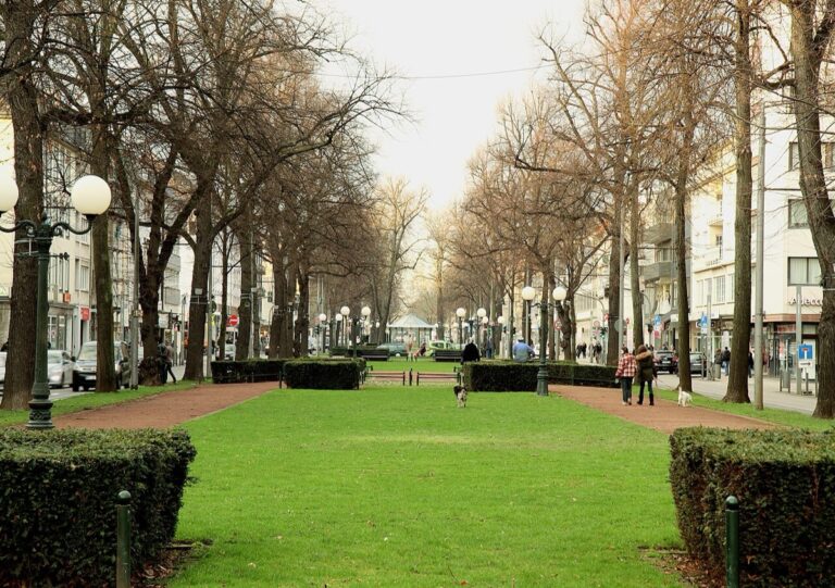Tieraerzte in Krefeld